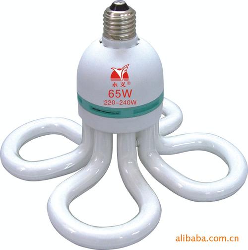 電感鎮(zhèn)流器;節(jié)能燈;&nbsp;&nbsp;主營行業(yè):&nbsp;&nbsp;其他室內照明